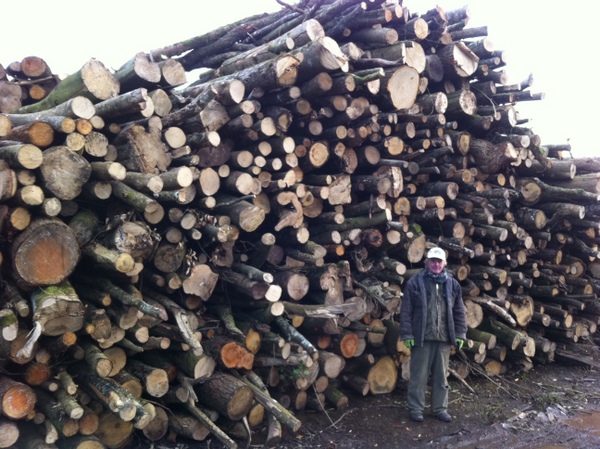 Devon logs Devon Logs