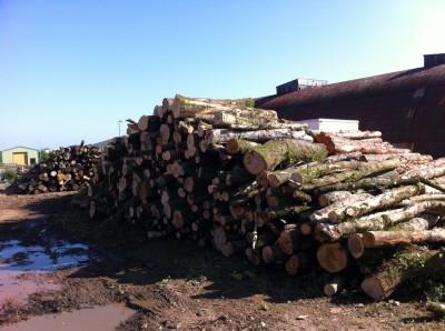 free logs