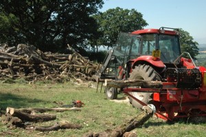 Logs harvested in the Blackdown Hills Seasoned logs for sale Somerset