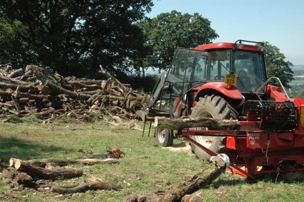 honiton logs from the Blackdown Hills Drive in Saturdays