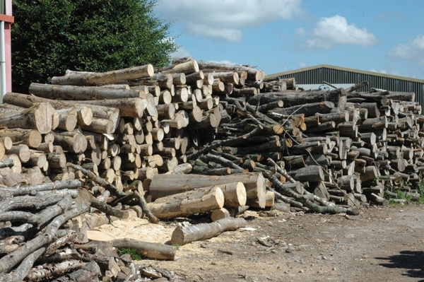 logs for sale Exeter Exeter seasoned hardwood logs