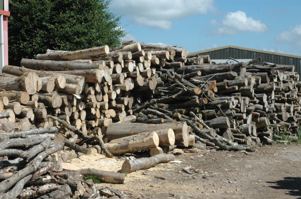 Dry logs Devon